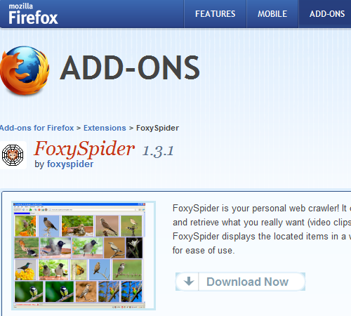 FoxySpider