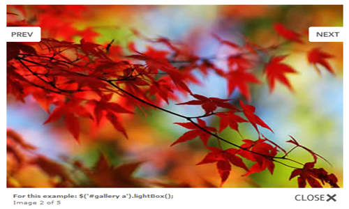 Jquery-Lightbox-Plug-in