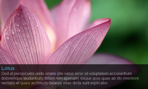 Simple-Image-Slide-Show