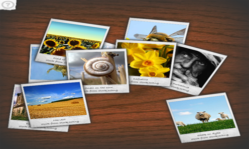 polaroid-gallery