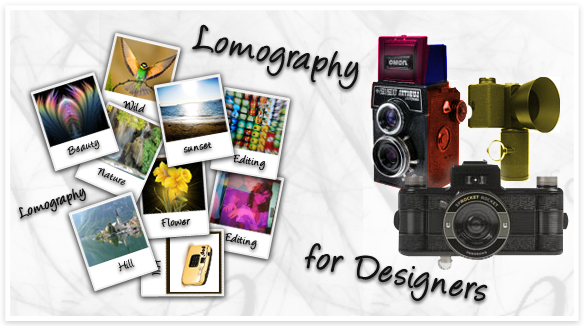 film photography guide film photography guide