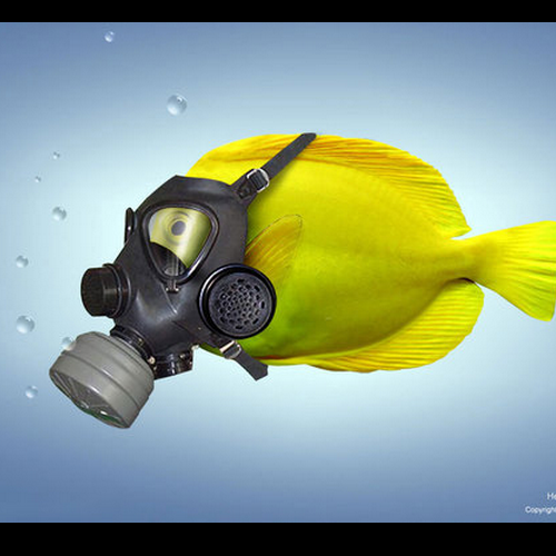 Help-Stop-Global-Warming