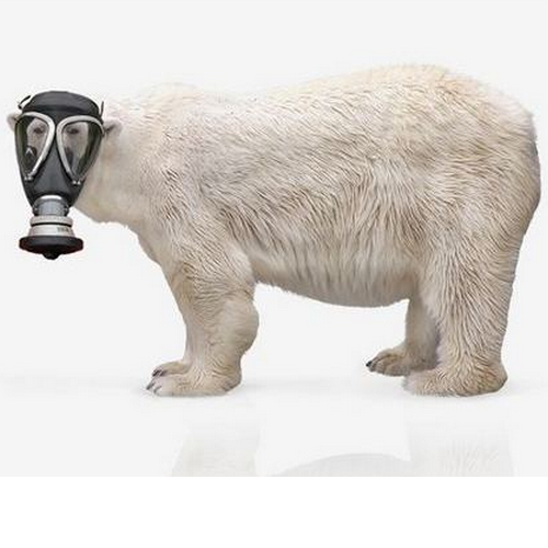 save-animals