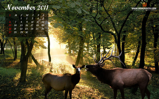 desktop calendar wallpaper November 2011