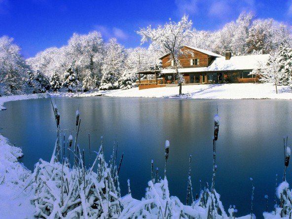 Christmas Nature wallpaper picture photo image 2011