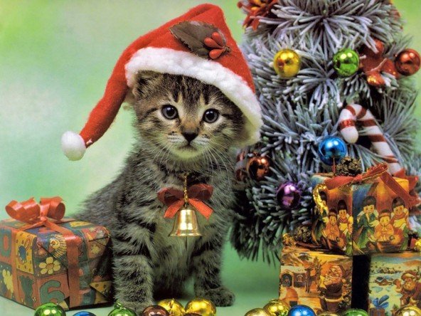 christmas desktop wallpaper picture photo image 2011