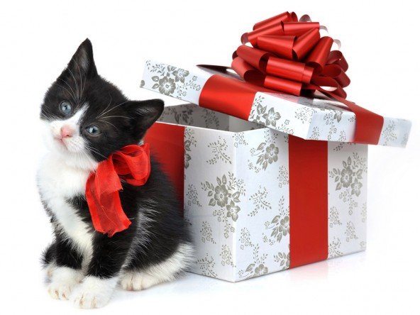christmas wallpaper picture photo image for desktop 2011