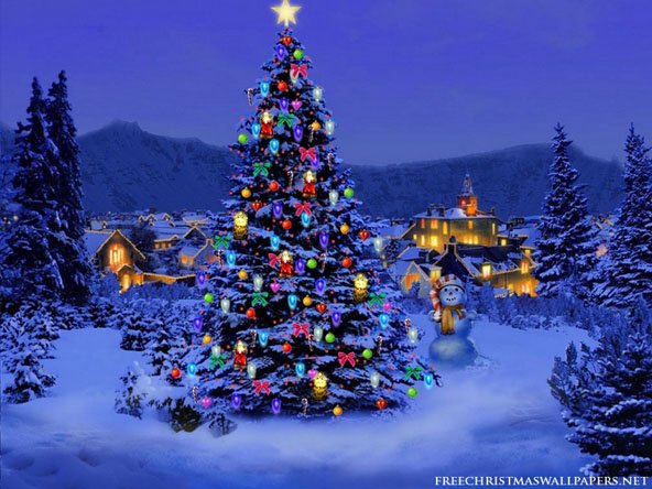 hd christmas tree wallpaper picture photo image 2011