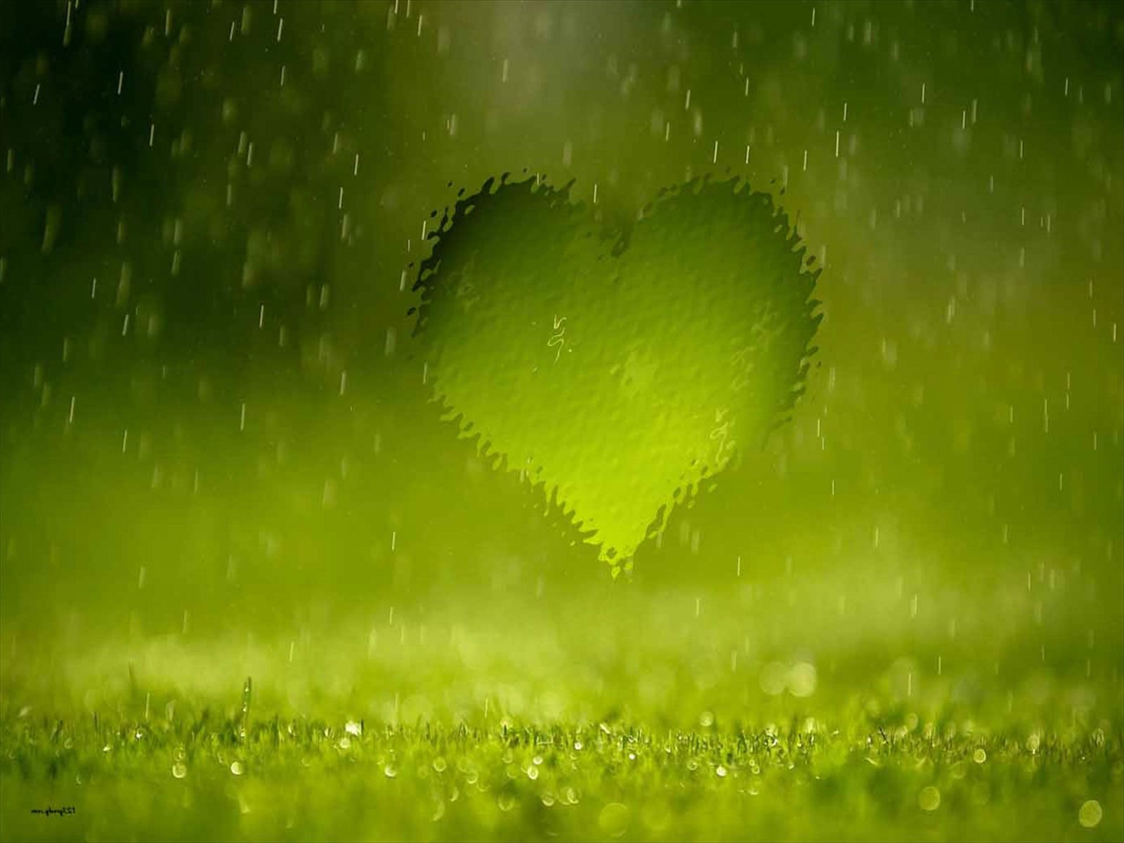 Rain Wallpaper: Best collection of Rainy Desktop HD Wallpaper 2016 - Webgranth