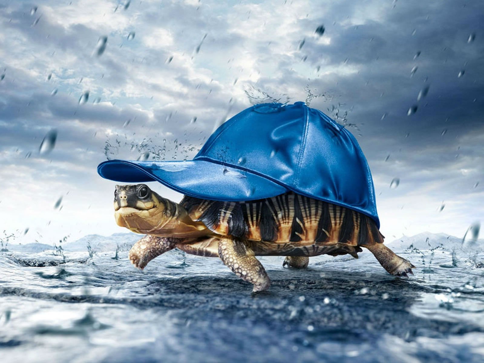 Rain Wallpaper Rain Wallpaper