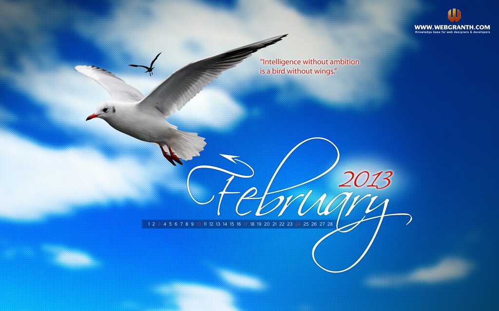 HD-Flying-Bird-Wallpaper-February-2013 HD-Flying-Bird-Wallpaper-February-2013