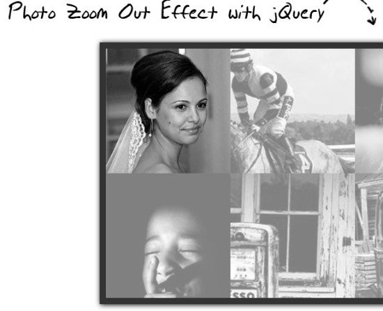 Photo Zoom Out Effect Photo Zoom Out Effect