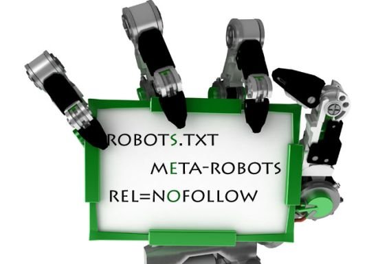 meta robot