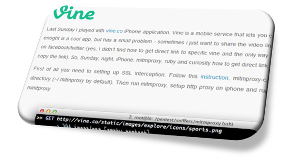 Vine's Undocumented API