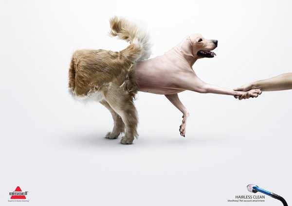 Creative Ads Bissell Inside Out