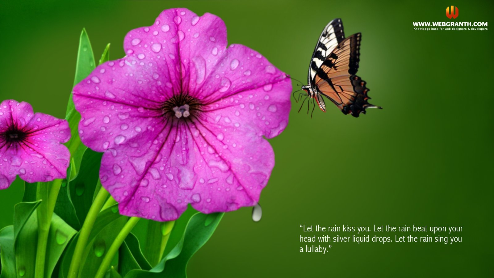 Rain Wallpaper: Best Collection of Rainy Desktop HD Wallpaper 2016