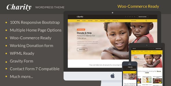 Charity WordPress Theme
