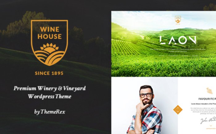 Wine Shop WordPress Theme