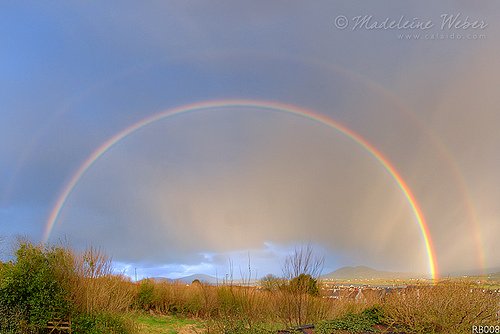 Madeleine Calaido Weber Madeleine Calaido Weber