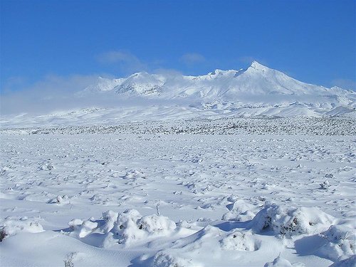 nzlandscapes nzlandscapes