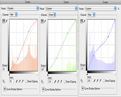 Cross-Processed-Photo-Step