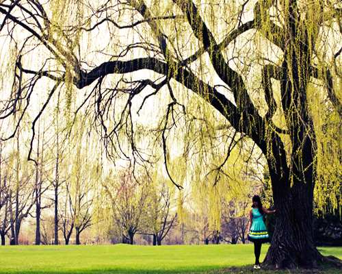 Cross-processed-photo-after