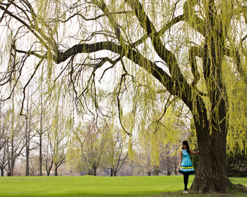 Cross-processed-photos-befo