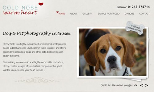 Sussex-Dog-Photography