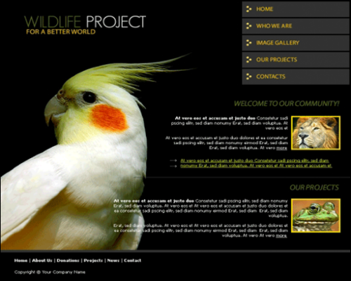Wildlife Project