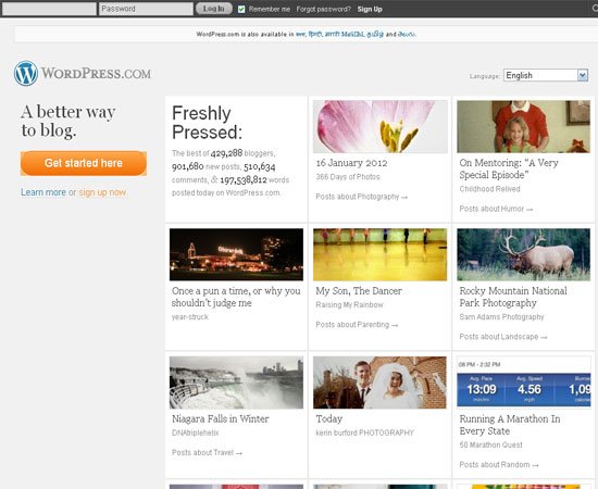 Wordpress