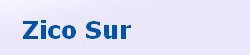 Zico-sur