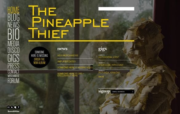 pineapplethief