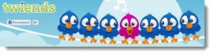 promote-blog-twiends-300x78