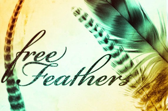 Feathers