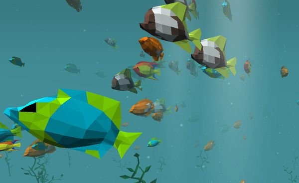Fish