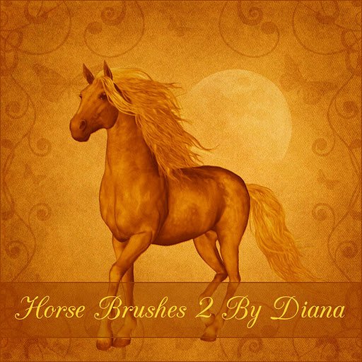 Horse 2