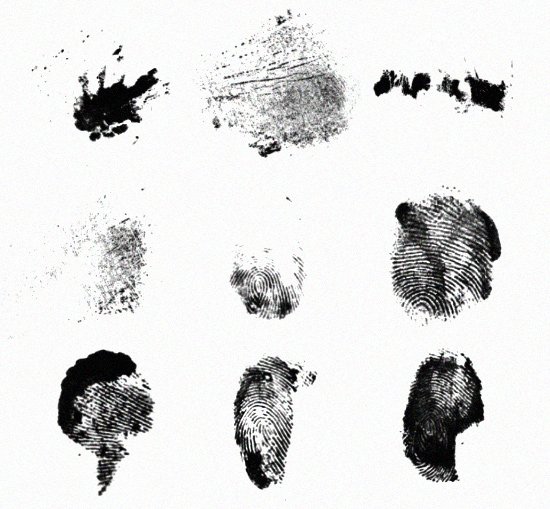 Identity