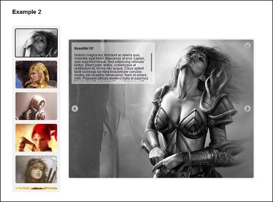 Nextgen Gallery Plugin WordPress