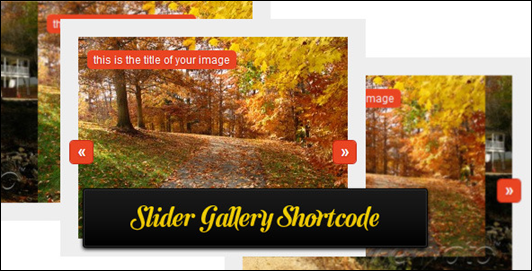 Slider WordPress Photo Gallery Plugins