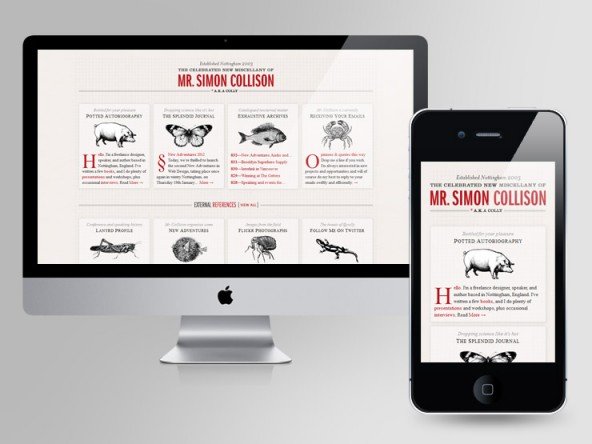 MR Simon Collision MR Simon Collision