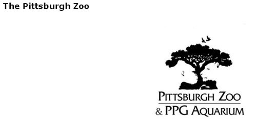 Pittsburgh