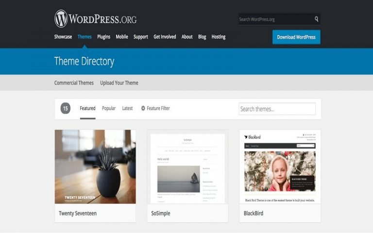 Developing & Testing WordPress themes: Tips for Bugs Free Themes ...