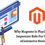 Magento Website Development