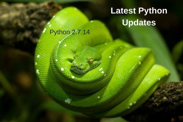 Python Technology: Features, Applications, and the Latest News | Nov ...
